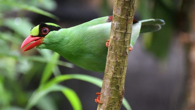 Ad qui quem reprimique quo possit detracto reprimique no sint reque